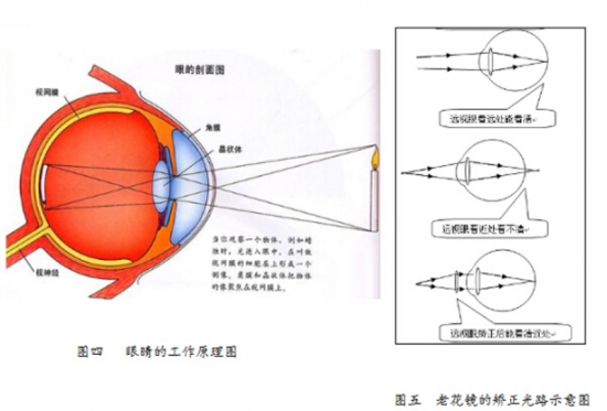 美麗島眼鏡：老花鏡不可隨意亂帶，需要在專業(yè)驗(yàn)光后科學(xué)配制